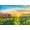 Unframed, variant on Art.com Oil Painting Flowers Dandelion, Cornflower, Daisy in Fields. Sunset Meadow Landscape with Wildflowe Art Print by pluie_r, 24" x 16"