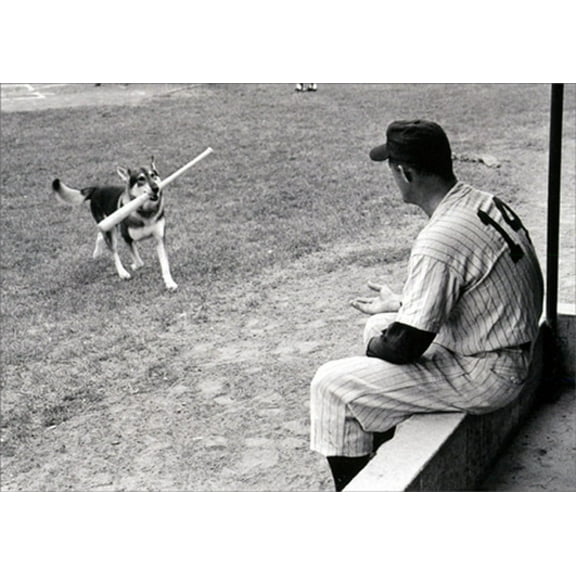 Avanti Press German Shepherd Baseball Mascot America Collection Blank Note Card