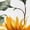 White1, variant on Women's Sunflower Heart Watercolor Graphic Short Sleeve T-Shirt Floral Art Cotton Crewneck Top