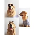 thumbnail image 3 of TopE Gafas para mascotas, Stock Show Funny Cute Dog Cat Ret, 3 of 3