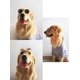 thumbnail image 3 of TopE Gafas para mascotas, Stock Show Funny Cute Dog Cat Ret, 3 of 3