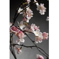 thumbnail image 3 of Silk Cherry Blossom Branches 58in.  20in. Wide Individual Silk Cherry Blossoms Range From 1in. To 1-1/2in., 3 of 4