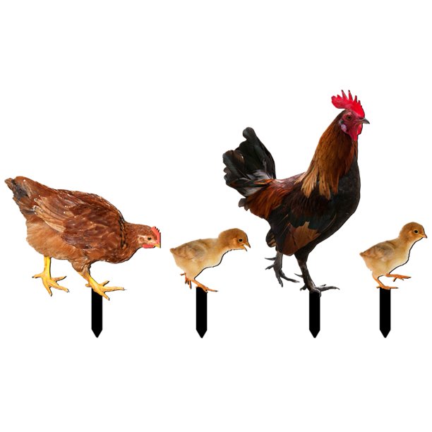 4 estacas de acrílico para gallinero de jardín, decoración para gallinero, estaca decorativa para jardín