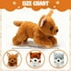 thumbnail image 2 of Juego de peluche Skylety para perros de peluche, 3 unidades, para niños de 20 cm, 2 of 6