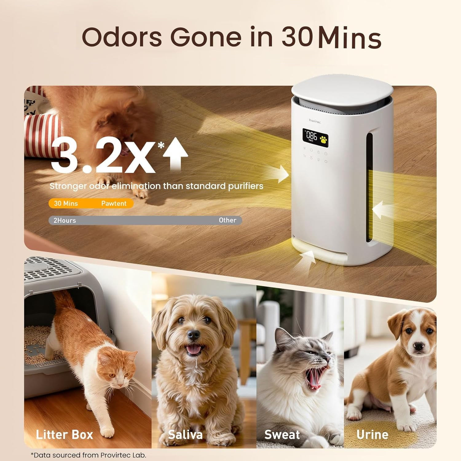 Pro-Level Pet Air Purifier for Home No More Pet Floating Fur Dander & Odor Worries 360° Wide Intake H13 True HEPA Auto/Pet Mode & Washable Pre-Filter Ultra Quiet for Bedroom/Large Room