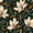 Color 4, variant on Peel and Stick Wallpaper Monochrome Floral White Petaled Flowers Black Minimalist Botanical 17.7in x 118in Contact Paper Removable Self Adhesive Wall Mural Wall Decor for Bedroom Kitchen Cabinets