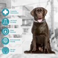 thumbnail image 4 of Collar contra pulgas y garrapatas para perros, tratamiento y prevención de pulgas y garrapatas para perros de hasta 8 meses, talla única, ingredientes naturales, resistente al agua, incluye, 4 of 4