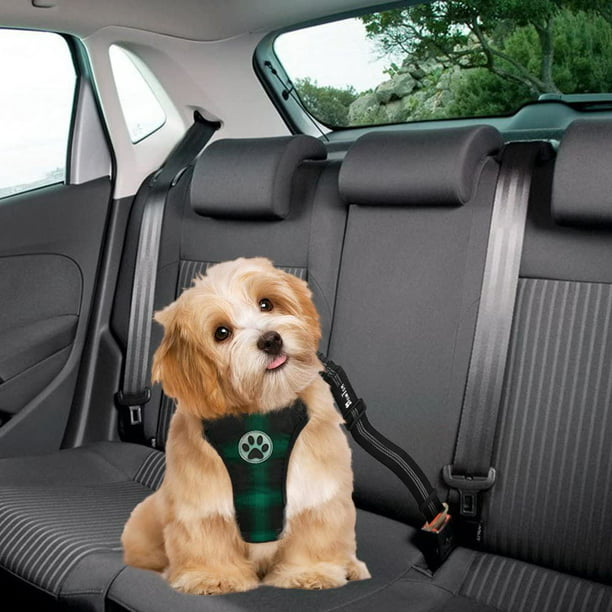 Harnais de gilet de sécurité pour chien avec ceinture de sécurité