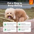thumbnail image 2 of Zesty Paws Chew No Poo Bites Dog Supplement Chicken Flavor, 90 Count, 2 of 10