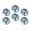 M027, variant on Glass Refrigerator Magnet 6Pcs Magnetic Fridge Sticker,Decor for Kitchen,Whiteboard,Cabinet,Cartoon Red-Eyed Tree Frog In The Jungle