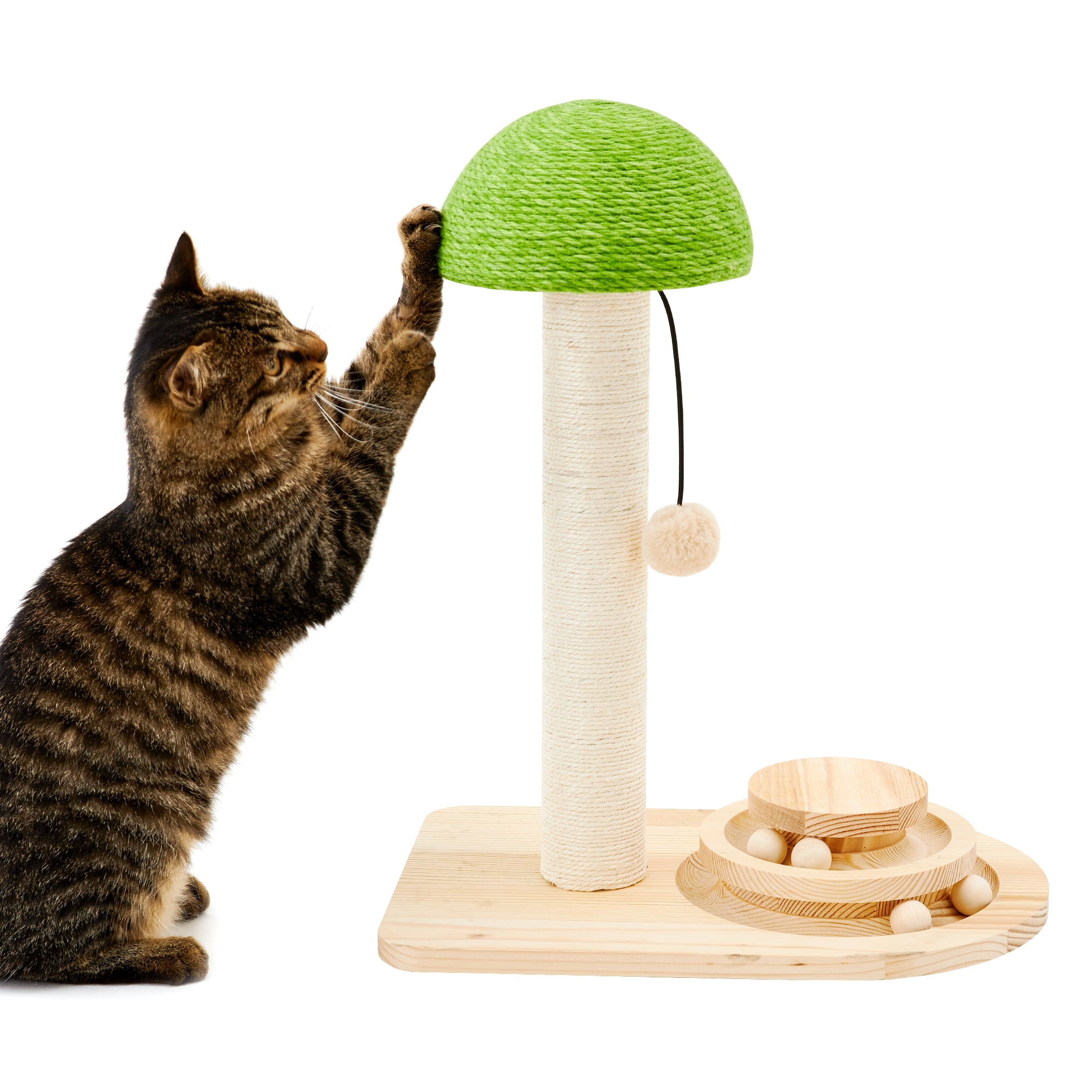 Made4Pets Cat Scratching Post Wood Scratch with Interactive Track Ball Toy, Sisal Ropes and Dangling Cat Toy 20", Green