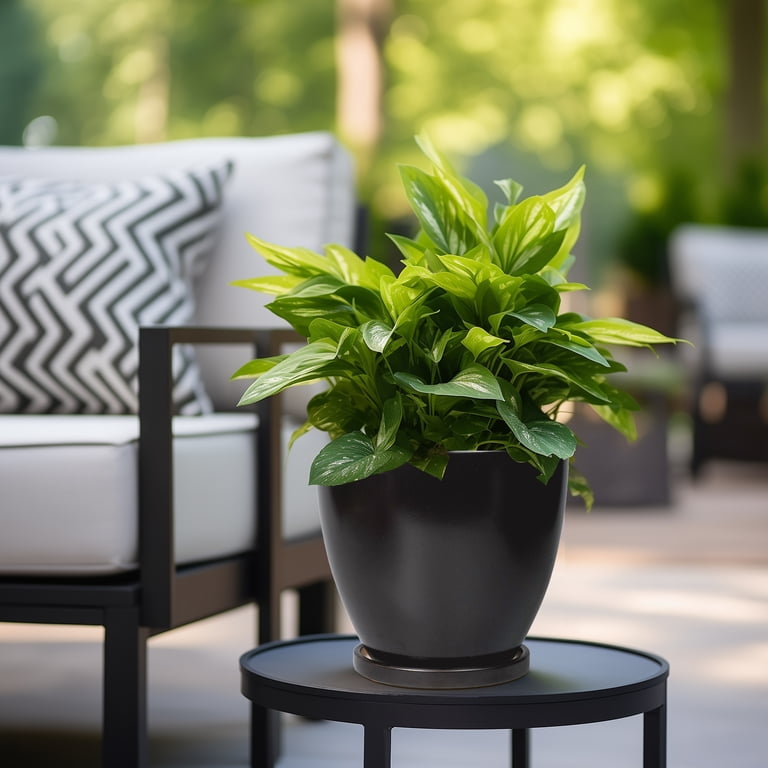 Ordivic 8" Black Ceramic Round Planter with Saucer photo 4