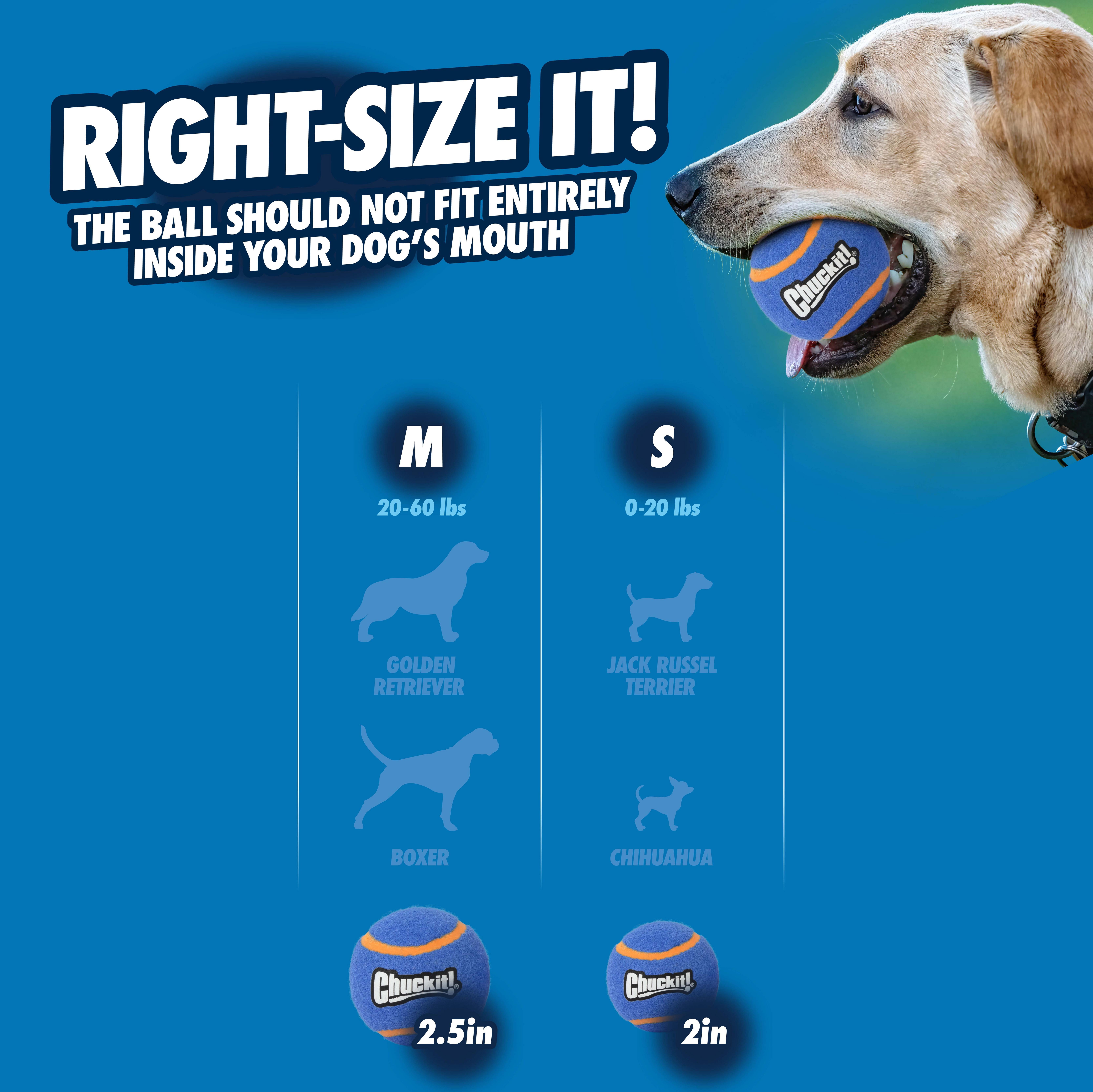 Chuckit! Squeaker Dog Tennis Balls Fetch Toy for Dogs, Extra Large 3.5" for Pets 90+ lbs, Blue, Pack of 2