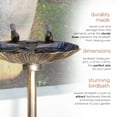 Alpine Corporation 32inch Plastic Bird Bath, Bronze