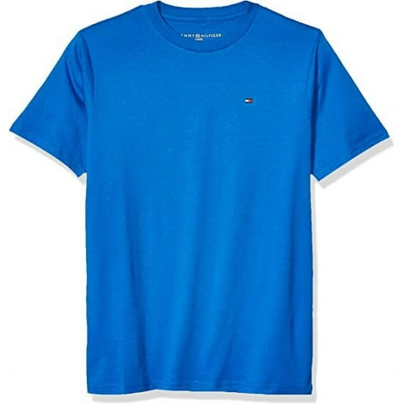 Tommy Hilfiger BLUE Little Boy's Short Sleeve Tommy Flag T-Shirt, US 5