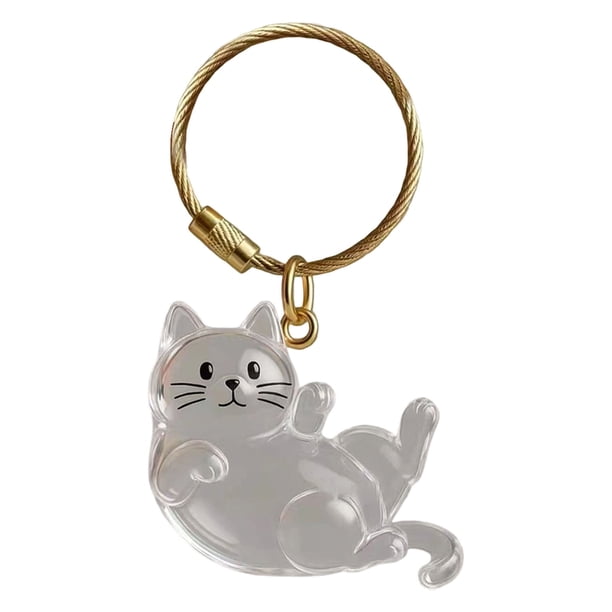 Colgante para gatos, caja para recoger pelo, acrílico transparente, organizador conmemorativo para mascotas, llavero con gancho para colgar, para recuerdos