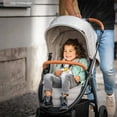 thumbnail image 3 of hauck Uptown Deluxe Stroller with Cup Holder and Canopy, Melange Black, 3 of 10