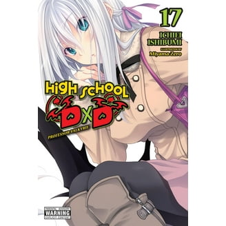High School DXD (Light Novel) High School DXD, Vol. 12 (Light