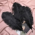 thumbnail image 6 of Black Ostrich Feathers,Bexikou 20 Pcs 8-10 inches Natural Ostrich Feathers Plumes for Wedding Party Centerpieces, Home Decorations and DIY Crafts, 6 of 6