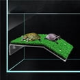 thumbnail image 4 of Billuyoard Plataforma de descanso acrílica para tortugas con potente ventosa. Amplia gama de aplicaciones. Escalera para terrario de reptiles. Suministros para perros, 4 of 6