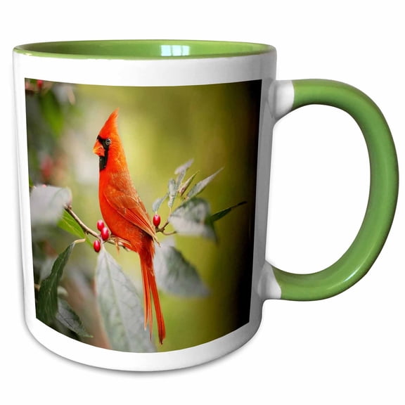 3drose, Image of Bright Red Cardinal Poses on Branch, 11oz Two-tone Green Mug