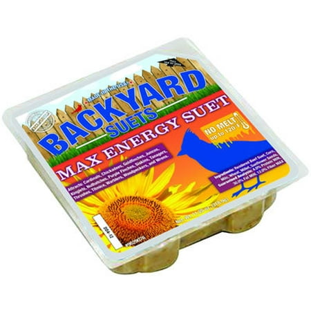 Backyard Seeds Max Energy Suet Cake 12 Pack