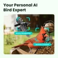 thumbnail image 2 of Birdfy Smart Bird Feeder with Camera, 1080P HD Bird Feeder Camera with AI Bird Identification, Solar Powered, Motion Detection & Real-Time Alerts, Suet Ball Holder for Outdoor Birdwatching, 2 of 8