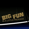 thumbnail image 1 of Big Fun in a Little Package - Vinyl Decal - Choose Color - [GOLD], 1 of 1