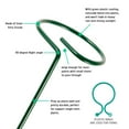 thumbnail image 3 of CNKOO Single Stem Plant Support Metal Stakes Plant Flower Support Ring Garden, 3 of 8