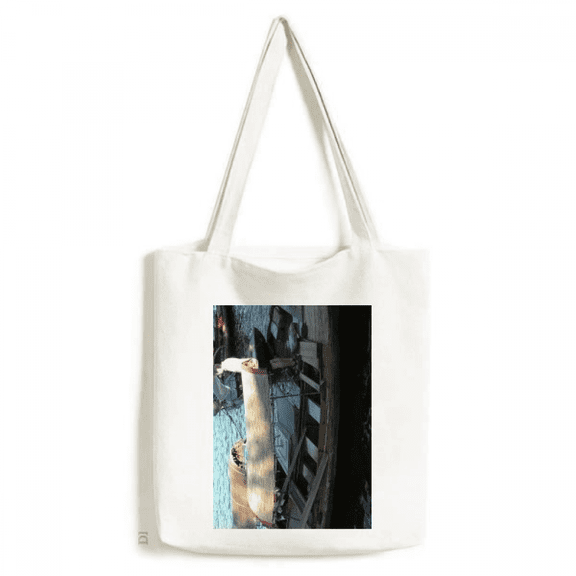 Sunshine Lake Eastern China Secenery Tote Canvas Bag Shopping Satchel Casual Handbag