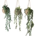 thumbnail image 1 of Set de 3 plantas colgantes artificiales miniatura en canasta para decoración de pared sala baño estante hogar interiores, 1 of 8