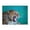 500 Pieces, variant on 500-Piece Wooden Jigsaw Puzzle for Adults - Roaring Leopard Portrait , Fun & Relaxing Family Game, No-Dust Interlocking Pieces, Perfect Wall Decor & Holiday Gift