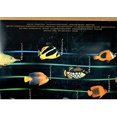 thumbnail image 3 of Stevie Wonder Original Musiquarium I Vinyl, 3 of 3