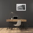 thumbnail image 3 of Aledanda 32x23 White Modern Wood Framed Museum Art Print Titled - Horse Hair, 3 of 4