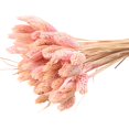 thumbnail image 1 of Coofit Dry Flower Branch DIY 24PCS Simple Natural Dried Grass Stem Dry Grass Decor, 1 of 8