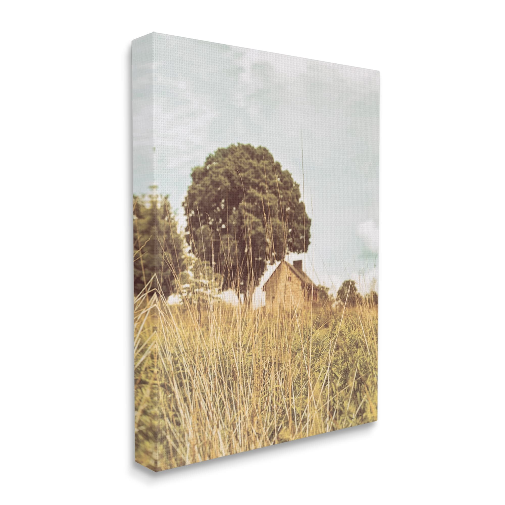 Stupell Industries Countryside Farm Meadow Tall Grass Summer Landscape Photography, 16 x 20,Design by Aledanda