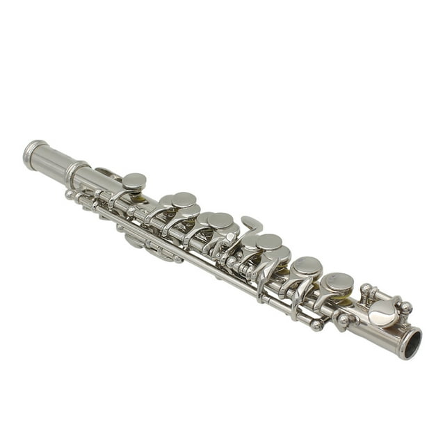 Acier Inoxydable, Kit Piccolo Cuivre 16 Trous, Design Trou d'Ouverture pour Fournitures Pédagogiques Jeu de Bande