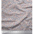 thumbnail image 1 of Soimoi Toile de Coton Imprimé Ver, Fruit et Insecte par Yard 56 Pouces de Large, 1 of 3