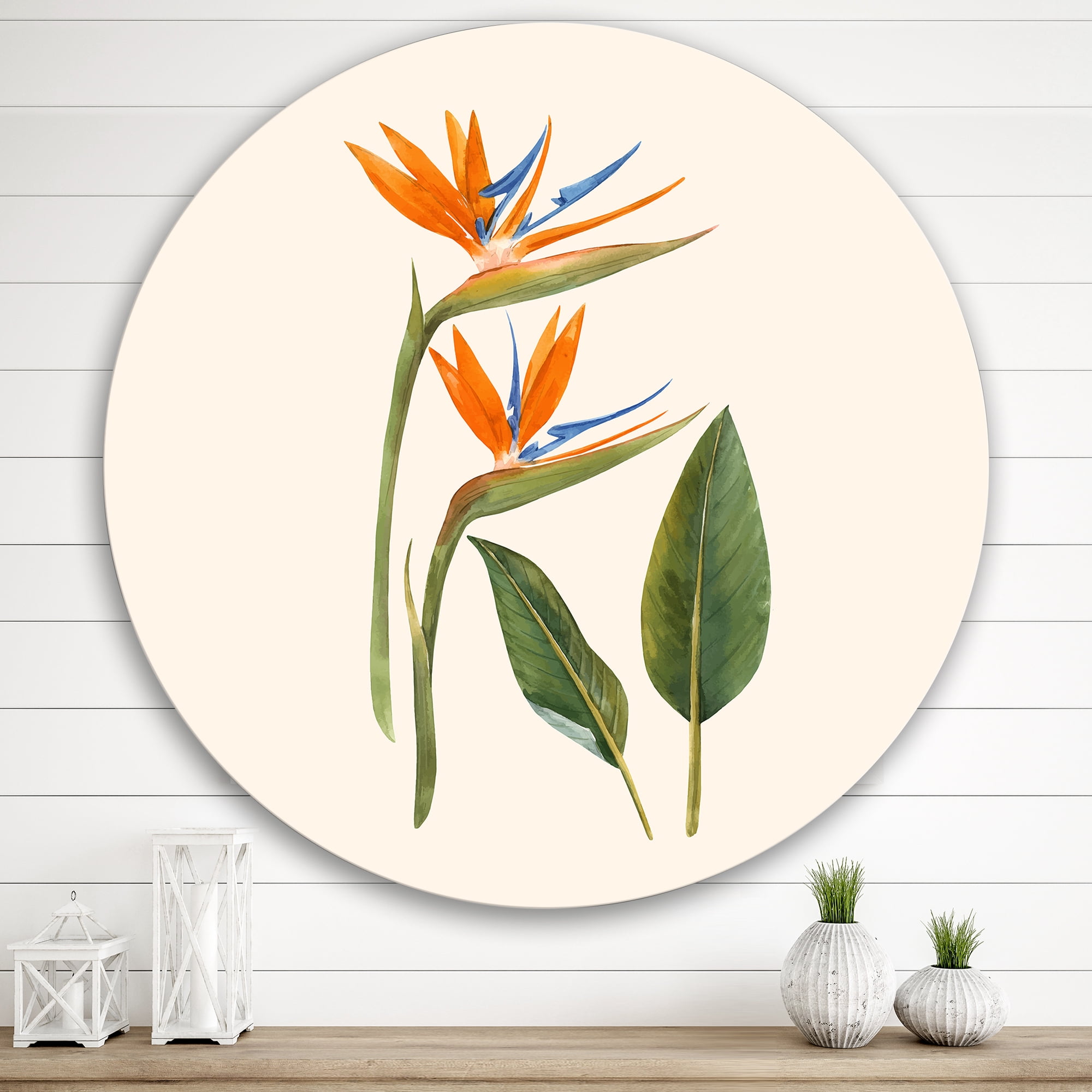 Designart 'Ancient Strelitzia Flowers' Traditional Circle Metal Wall Art 29x29 - Disc of 29