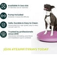 thumbnail image 3 of FitPAWS® Dog Balance Disc - Razzleberry, 22" | Dog Exercise Equipment | Workout Tool for Strength, Core, Stability & Rehabilitation, 3 of 5