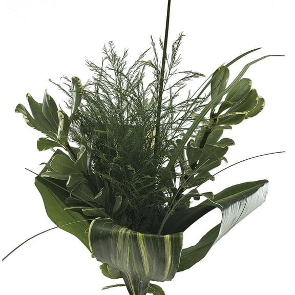 The Special Greens Bouquet 5 Pack of Farm Direct Fresh Cut Flower Bouquets of Mixed Greenery by Bloomingmore