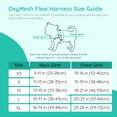 thumbnail image 2 of BELLA & PAL Dog Harness for Medium Dogs, Adjustable Reflective No Pull Step-in Dog Vest, Breathable Soft Mesh Harness and Leash Set for Small Medium Dogs, Emerald, L, 2 of 7