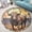 Bull, variant on Round Area Rug, Solar System Non-Slip Floor Mat, Soft Washable Carpet for Living Room Bedroom Decor 24 Inch