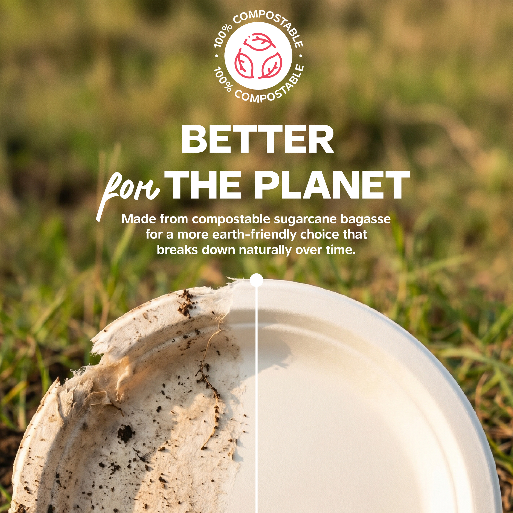 Gusto Compostable Paper Plates, 9", White, 125 Count photo 8