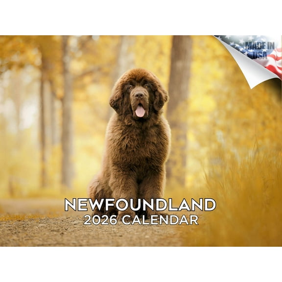 2025 2026 Newfoundland Calendar - Dog Breed Monthly Wall Calendar - 12 x 18 Open - Thick No-Bleed Paper - Giftable - Made in USA