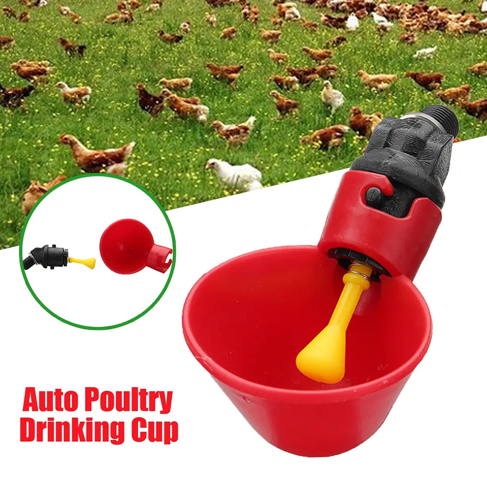 Chicken Hen Plastic Automatic Drinker Useful 5 Pack Poultry Water Drinking Cups 