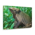 thumbnail image 2 of Funny Armadillo Silly Armadillo Outside Wall Art Ready to Hang Unframed, 2 of 18