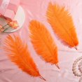 thumbnail image 3 of Plumas de Avestruz Berlune 150 Piezas Naturales 30-35 cm Naranja, 3 of 6