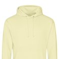 thumbnail image 2 of Awdis  Adult College Hoodie, 2 of 2