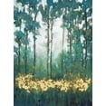 thumbnail image 2 of OToole, Tim 19x24 Gold Ornate Wood Framed with Double Matting Museum Art Print Titled - Glow in the Forest I, 2 of 4